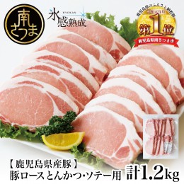 【ふるさと納税】【氷感熟成豚】鹿児島県産 豚ロース とんかつ・ソテー用 計1.2kg