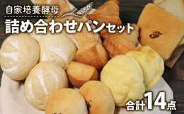 【ふるさと納税】自家培養酵母 詰め合わせ パンセット 14点  ( パン 惣菜パン 冷凍パン 無添加 天然酵母 冷凍 詰め合わせ 小麦 朝食 朝ご