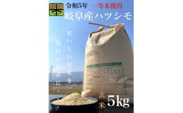 【ふるさと納税】令和5年産岐阜ハツシモ　5kg　玄米【1148639】