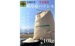 【ふるさと納税】令和5年産　岐阜ハツシモ　10kg　精米【1148640】