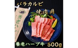 【ふるさと納税】養老ハーブ牛　バラカルビ　焼肉用　500g【1273628】