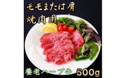 【ふるさと納税】養老ハーブ牛　モモまたは肩　焼肉用　500g【1273630】