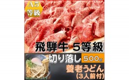 【ふるさと納税】飛騨牛 5等級　切り落し　500g　養老うどん付(3人前)【1416455】