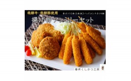 【ふるさと納税】飛騨牛・飛騨豚使用　揚げ物ファミリーセット【1433464】