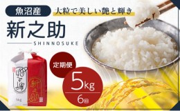 【ふるさと納税】【新米先行受付】定期6 新之助精米5kg