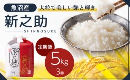 【ふるさと納税】【新米先行受付】定期3 新之助精米5kg