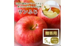 【ふるさと納税】＜先行受付＞サンふじ贈答用 5kg【1494546】