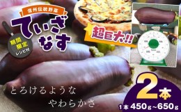 【ふるさと納税】【期間限定☆レシピ付】信州伝統野菜　天龍村産ていざなす2本セット（１本450ｇ〜650ｇ）【 ていざなす なす 野菜 夏野