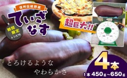 【ふるさと納税】【期間限定☆レシピ付】信州伝統野菜　天龍村産ていざなす4本セット（１本450g〜650g）【 ていざなす なす 野菜 天龍村