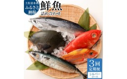 【ふるさと納税】＜3回定期便＞ 季節の鮮魚 おまかせお楽しみセット（シルバーコース）天然魚 食べ比べ 魚介類 海鮮料理 魚 鮮魚 新鮮 刺