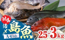 【ふるさと納税】対馬 活〆 島魚セット 2.5〜3kg《対馬市》【対馬地域商社】 [WAC004]新鮮 鮮度 直送 冷蔵 鮮魚 刺身 海鮮 魚介 鯛めし 