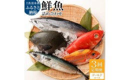 【ふるさと納税】＜3回定期便＞ 季節の鮮魚 おまかせお楽しみセット（ゴールドコース）天然魚 食べ比べ 魚介類 海鮮料理 魚 鮮魚 新鮮 刺