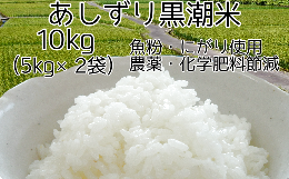 【ふるさと納税】令和5年産 あしずり黒潮米10kg（5kg×2袋）【コシヒカリ】精米 新米 白米 こめ コメ おコメ こしひかり ブランド米 10キ