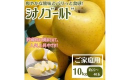 【ふるさと納税】＜先行受付＞りんご シナノゴールド 家庭用 10kg【1494508】