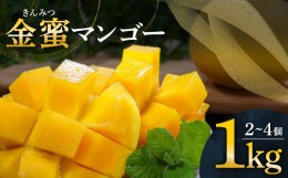 【ふるさと納税】完熟金蜜マンゴー１kg（２個〜４個入り）先行予約 南国フルーツ 金蜜 きんみつ種 糖度20度以上 高糖度 果物 果汁 濃厚 