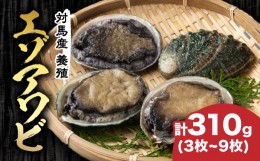 【ふるさと納税】対馬産 養殖 エゾアワビ 310g (3〜9枚)(7.0〜9.5cm)《対馬市》【対馬海洋牧場】 あわび 鮑 [WAR001]