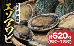 【ふるさと納税】対馬産 養殖 エゾアワビ 620g (5〜18枚)(7.0〜9.5cm)《対馬市》【対馬海洋牧場】 あわび 鮑 [WAR002]