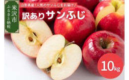 【ふるさと納税】《 先行予約 》【 令和6年産 】 訳あり りんご ( サンふじ )　10kg 〔 2024年11月中下旬頃 〜 お届け 〕 家庭用 キズ等 