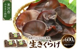 【ふるさと納税】【 期間限定 】 生きくらげ 計 600g （ 200g × 3パック ）〔 2024年 6月 〜 10月 中旬頃お届け 〕 米沢産 無農薬栽培 