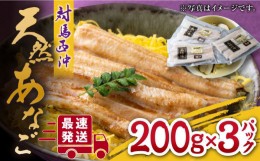 【ふるさと納税】対馬産 西沖あなご 200g×3パック《対馬市》【保家商事】 あなご アナゴ 穴子 海鮮 海産物 魚介 人気 ランキング 冷凍 