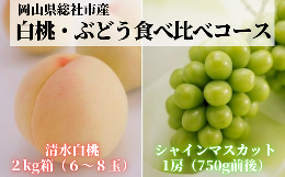 【ふるさと納税】【2回定期便】白桃・ぶどう食べ比べコース（清水白桃・シャインマスカット）岡山県総社市産【2024年産先行予約】24-043-