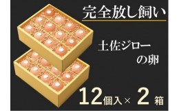 【ふるさと納税】ましくんの完全放し飼い土佐ジローの卵 (12個入り×2箱)もみ殻梱包 ブランド卵 タマゴ たまご 卵 生卵 鶏卵 国産 地鶏 