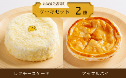 【ふるさと納税】2種のケーキセット（レアチーズケーキ・アップルパイ） 【 ふるさと納税 人気 おすすめ ランキング 菓子 ケーキ レアチ