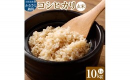 【ふるさと納税】令和6年産新米 コシヒカリ玄米10kg（1袋）【先行予約/令和6年8月発送予定】お米 健康食品 10000g 10キロ おこめ 米 ごは