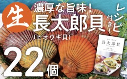 【ふるさと納税】『先行予約』ヒオウギ貝22個セット（ホタテの仲間）アウトドア キャンプ 海鮮BBQ 魚貝 刺身 生 貝殻付 活 貝柱 酒蒸し 