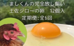 【ふるさと納税】定期便：土佐ジローの卵（12個入り×6回）もみ殻梱包 ブランド卵 タマゴ【J00024】