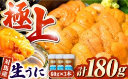 【ふるさと納税】【お中元対象】対馬産生うに60g×3本《対馬市》【保家商事】 ウニ うに 冷凍 生ウニ 雲丹 対馬 ムラサキウニ 紫ウニ  紫