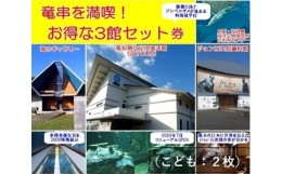 【ふるさと納税】水族館・資料館・展示館　ぐるっと竜串　お得な3館入場券セット（小学生〜高校生までの子供２名用）高知県土佐清水市 観