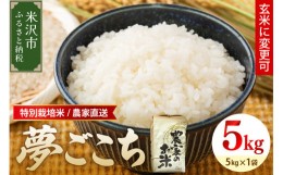 【ふるさと納税】《 先行予約 》 【 令和6年産 新米 】特別栽培米 夢ごこち 5kg 1袋 玄米可 農家直送 2024年産 [063R6-003]