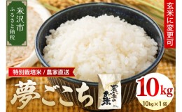 【ふるさと納税】《 先行予約 》 【 令和6年産 新米 】特別栽培米 夢ごこち 10kg 1袋 玄米可 農家直送 2024年産 [063R6-004]