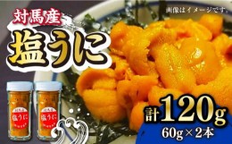 【ふるさと納税】対馬産 塩うに 60g×2本《対馬市》【保家商事】 ウニ うに 冷凍 生ウニ 雲丹 対馬 ムラサキウニ 紫ウニ  紫うに 人気 ラ