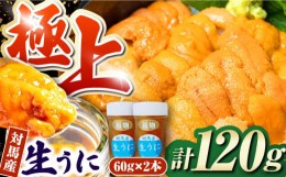 【ふるさと納税】対馬産 生うに 60g×2本《対馬市》【保家商事】 ウニ うに 冷凍 生ウニ 雲丹 対馬 ムラサキウニ 紫ウニ  紫うに 人気 ラ