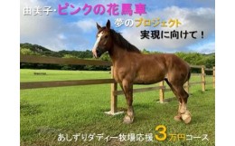 【ふるさと納税】由美子・ピンクの花馬車夢のプロジェクト実現に向けて！あしずりダディー牧場応援（３万円コース）クラウンドファンディ