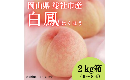 【ふるさと納税】白桃「白鳳（2kg箱）」岡山県総社市産【2024年産先行予約】24-020-003