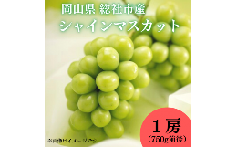 【ふるさと納税】ぶどう「シャインマスカット」岡山県総社市産【2024年産先行予約】24-017-002