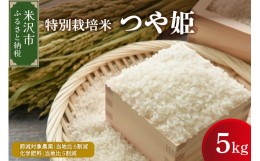 【ふるさと納税】《 先行予約 》【 令和6年産 新米 】 つや姫 5kg 特別栽培米 減農薬・減化学肥料栽培 ブランド米 産地直送 2024年産 [00