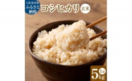 【ふるさと納税】令和6年産新米 コシヒカリ玄米5kg（1袋）【先行予約/令和6年8月発送予定】お米 健康食品 5000g 5キロ おこめ 米 こめ ご