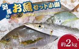 【ふるさと納税】対馬 のお 魚 (小潮) 2kg 《対馬市》【ゆうなぎ対馬】 鮮魚 新鮮 海鮮 イカ サザエ アジ クエ ヒラマサ ハタ [WAG002]冷