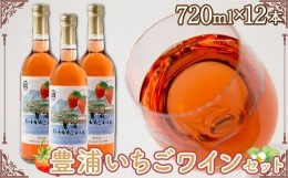 【ふるさと納税】北海道 豊浦 いちご ワインセット【12本】 【ふるさと納税 人気 おすすめ ランキング 果物 いちごイチゴ 苺 いちごワイ