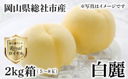 【ふるさと納税】白桃「白麗ロイヤル（2kg箱）」岡山県総社市産【2024年産先行予約】24-035-003