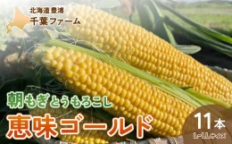 【ふるさと納税】北海道 豊浦 千葉ファーム 朝もぎ とうもろこし 恵味ゴールド 11本 L〜LLサイズ 【ふるさと納税 人気 おすすめ ランキン