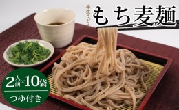 【ふるさと納税】麺 もち麦麺 2人前×10p つゆ付き もち麦 阿波市 徳島県