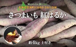 【ふるさと納税】北海道 豊浦 さつまいも 紅はるか 約4kg 【土付き サイズ混合・不揃い】 【ふるさと納税 人気 おすすめ ランキング 野菜