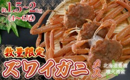 【ふるさと納税】【数量限定】北海道 豊浦 噴火湾 ズワイガニ メス 約1.5〜2kg（4〜6尾） 【 ふるさと納税 人気 おすすめ ランキング 魚