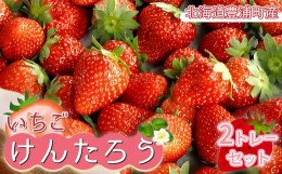 【ふるさと納税】いちご「けんたろう」2トレーセット 【 ふるさと納税 人気 おすすめ ランキング 果物 いちごイチゴ 苺 国産いちご 国産