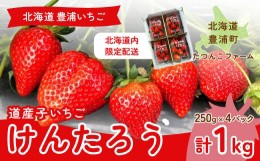 【ふるさと納税】【北海道内限定配送】いちご「けんたろう」250g×4パック 【ふるさと納税 人気 おすすめ ランキング 果物 いちご苺 イチ